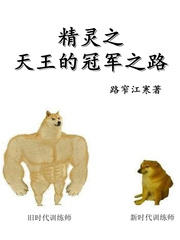  精灵之天王的冠军之路