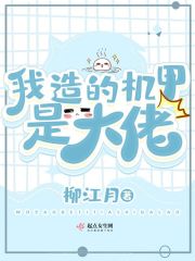  我造的机甲是大佬