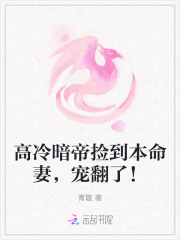 高冷暗帝捡到本命妻，宠翻了！