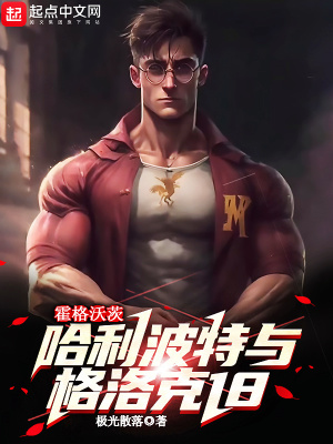  霍格沃茨：哈利波特与格洛克18