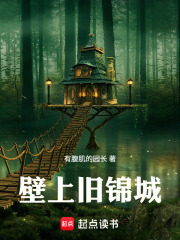 壁上旧锦城